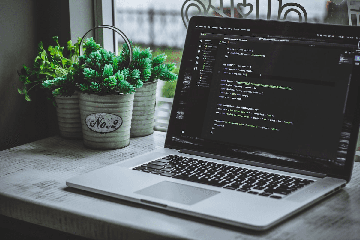 New Horizons: A Guide to Start a Career in Programming